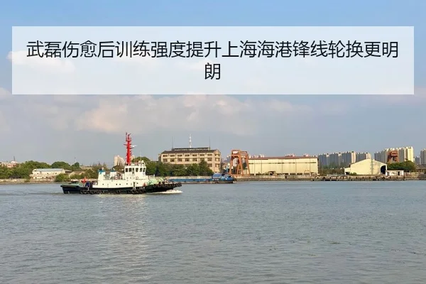 武磊伤愈后训练强度提升上海海港锋线轮换更明朗